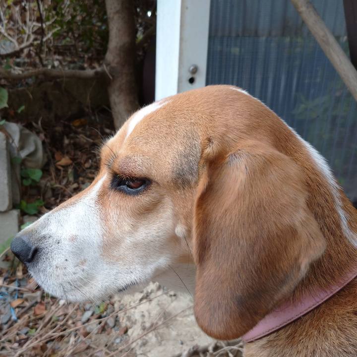 C9b85ef4 334d 495f 8507 a3ebde99c276 1600649807723