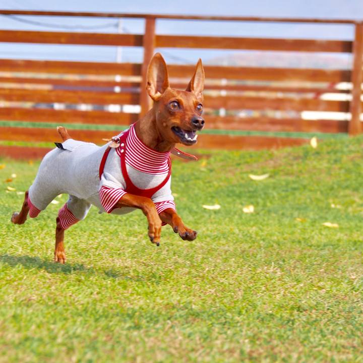 C9b87038 2c69 46ab bea1 97a275050223 1508052493765