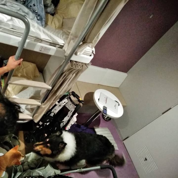 C9b9066d 1631 49a9 82c3 1d9527598a4e 1566026506417