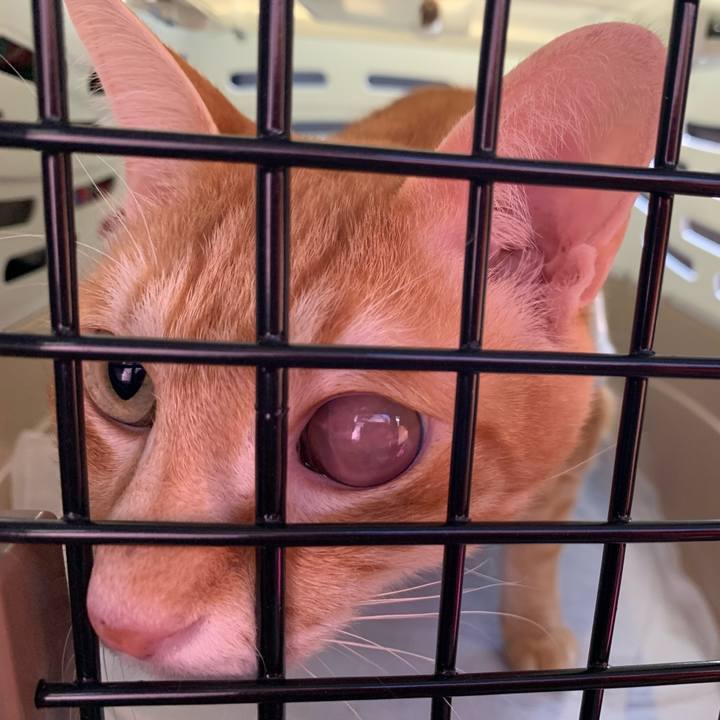 C9b90d34 bd24 49b8 8b0a fb0af0095ba1 1606363507005