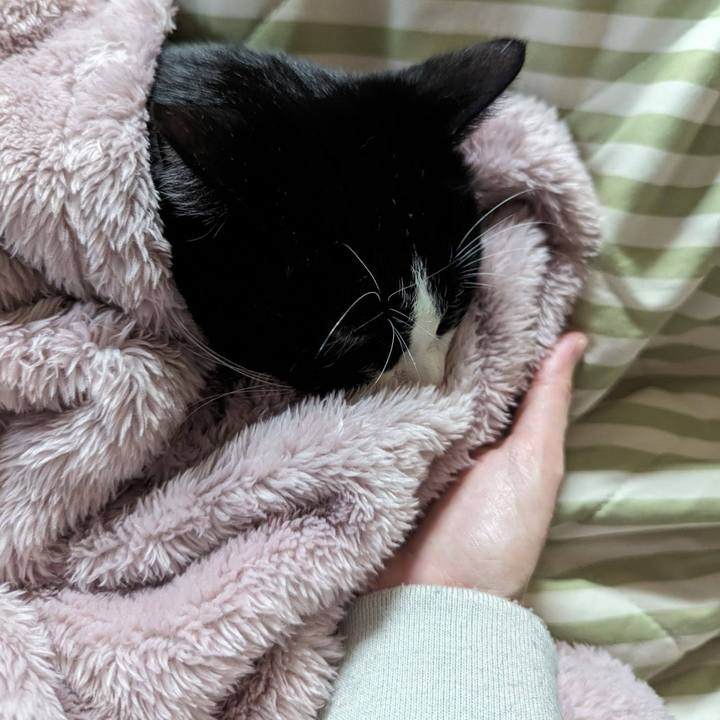 C9b93029 7900 43a4 986b 378d9c7fa2b2 1706759841182