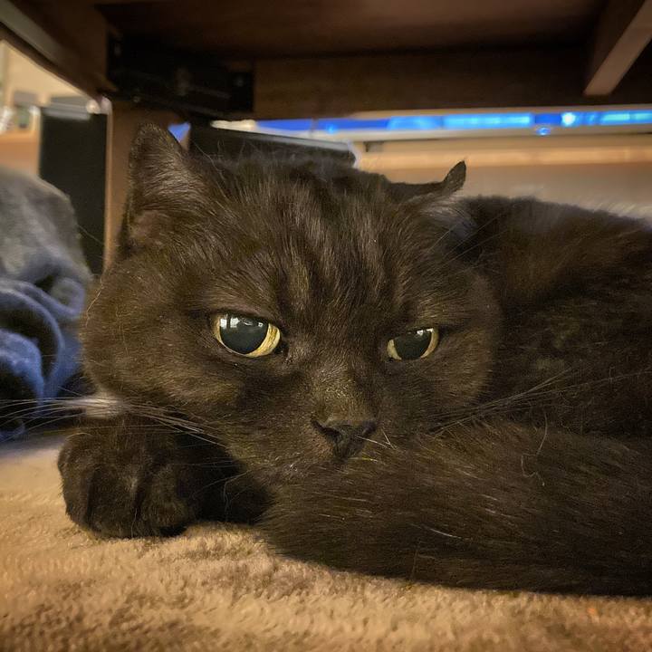 C9b93864 ace2 464d 99d0 bab79a236564 1636994539765