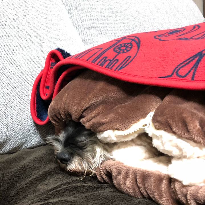 C9b96995 e3cd 412a 9623 3fcaeefffd55 1573823945303