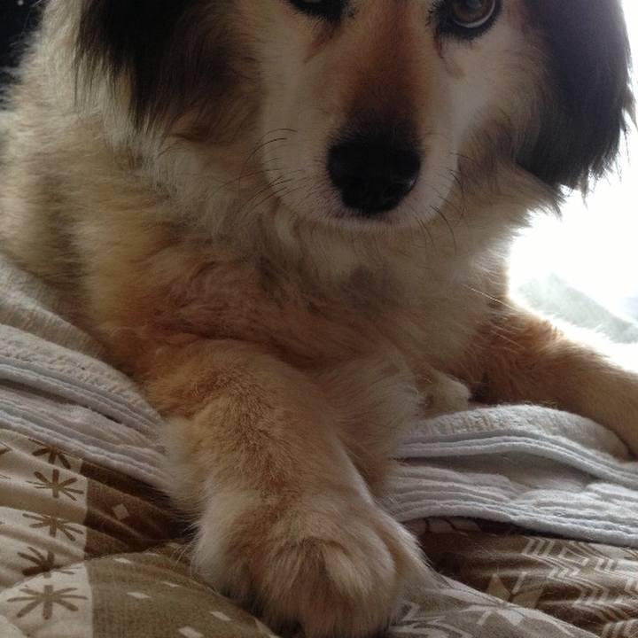 C9b973af 3c96 417b 823c fbadaf2b2ff6 1555490748514