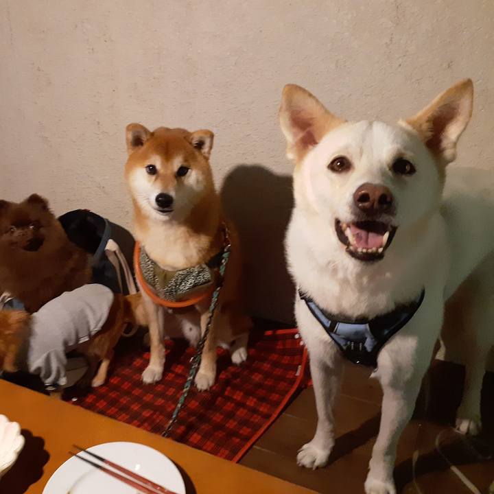 C9b9be04 2b26 46a3 bc0c c279bf09e27b 1666364685466