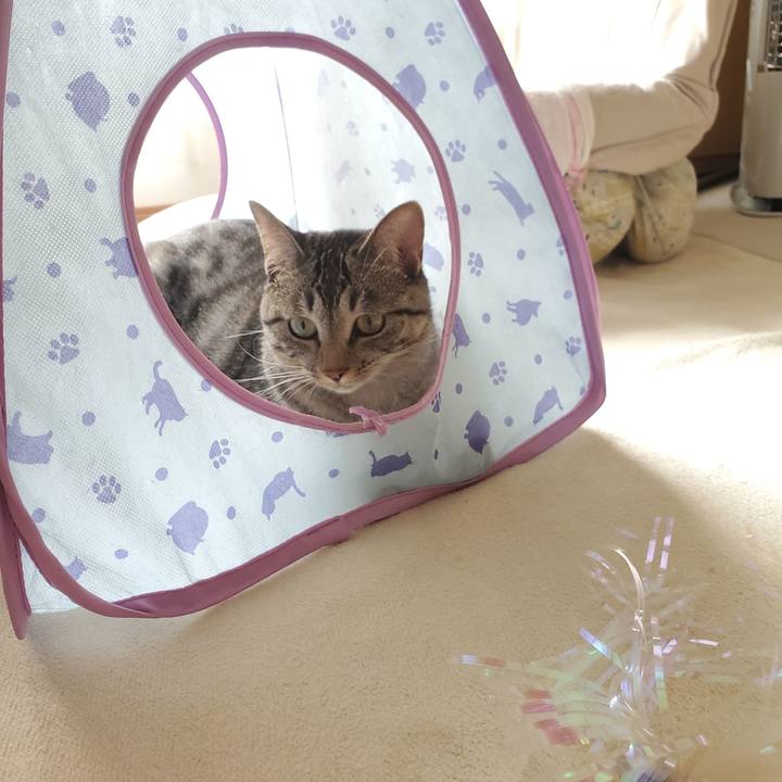 C9b9d04c 0c0d 4427 8a3b c6d89934dac0 1694071154420