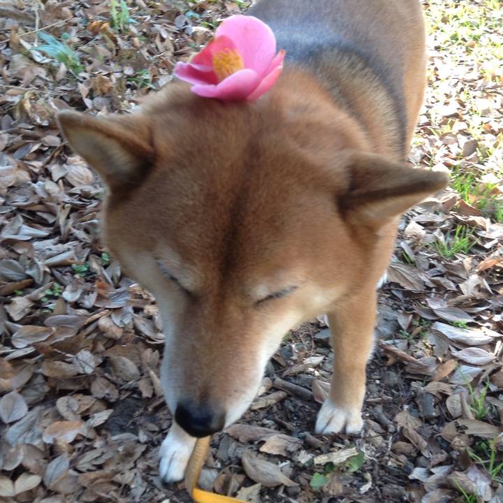 C9b9f5fe eb39 4e9a 92b3 a7bcdef082a9 1514002075564