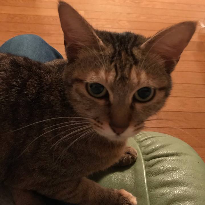 C9ba0965 f5b5 4529 b7a9 1f412b9afcc4 1581506999859