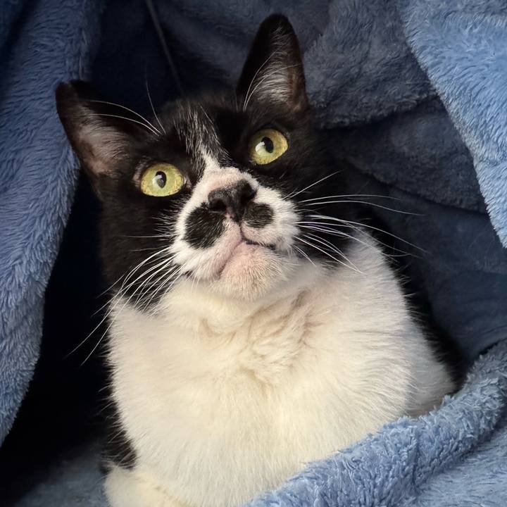 C9ba18fd 2767 4263 a30c 980f572d3c9e 1744847585219