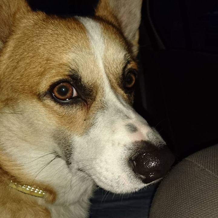 C9ba1e06 3483 4397 b9c8 99a6db0f2690 1578298585990