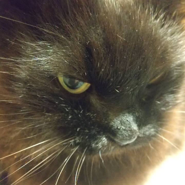 C9ba41c8 ca93 4317 b119 eacc2bbd6667 1654084277439