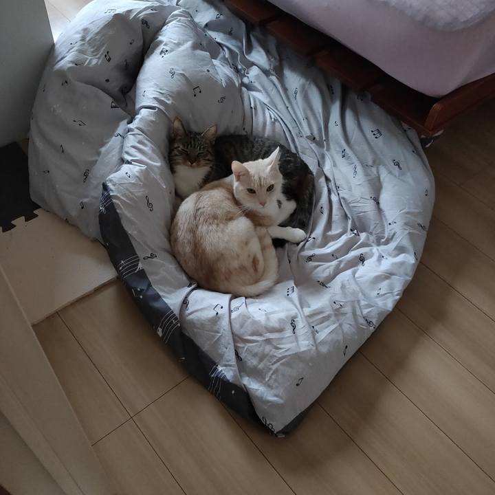 C9ba4a52 b412 4e57 9563 d85cb0986e88 1665633639376