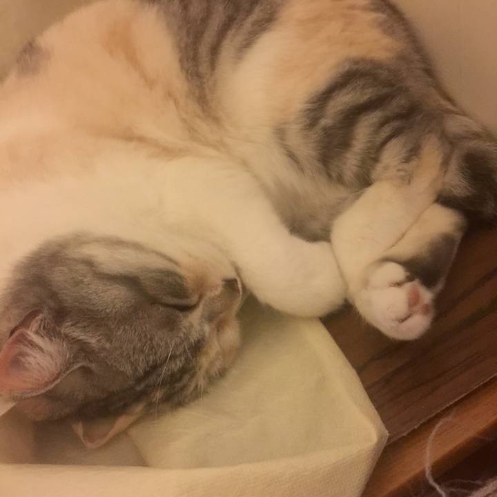 C9ba5296 8b0a 4ad6 b9e2 87451f30fe52 1559405654055