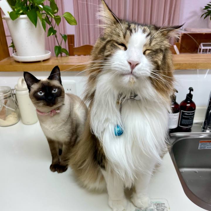 C9ba84db 8a71 4d27 b2be 6168ee0e9a3d 1715541826989