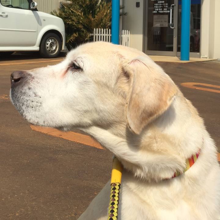 C9ba9304 770e 4371 bd94 3682c9d7fd9d 1520997002837