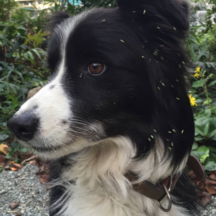 C9babc2b 11c2 4ea8 8ef3 94ab32d73ae6 1540681029084