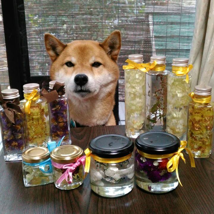 C9baf394 a668 49ac b5af 77272879870f 1553302066384