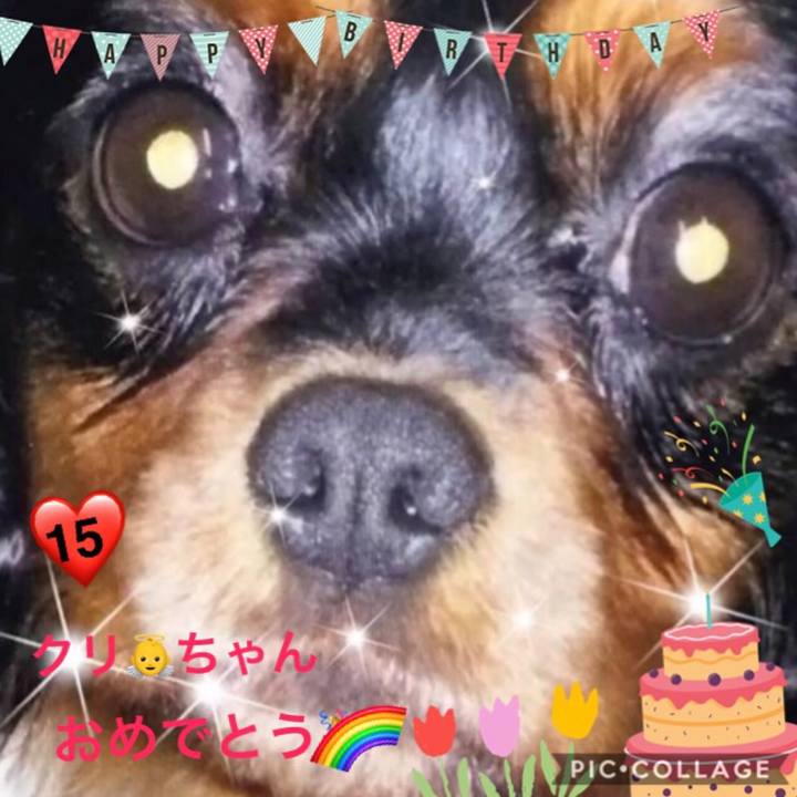 C9bb0549 1546 44e3 b087 d9fdd0012e35 1525686938034