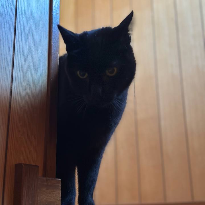 C9bb2b7b 2e43 4339 8d77 883749588629 1677550546156