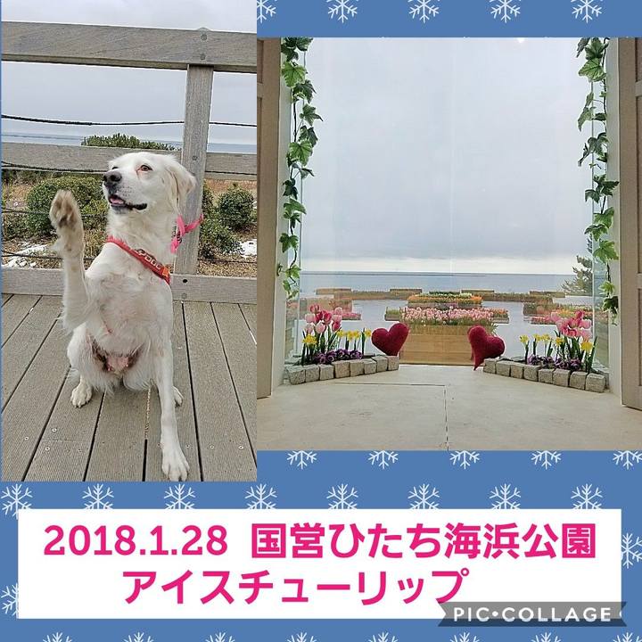 C9bb5f1f 120f 4b78 bb98 473e7c36c09a 1517627316744