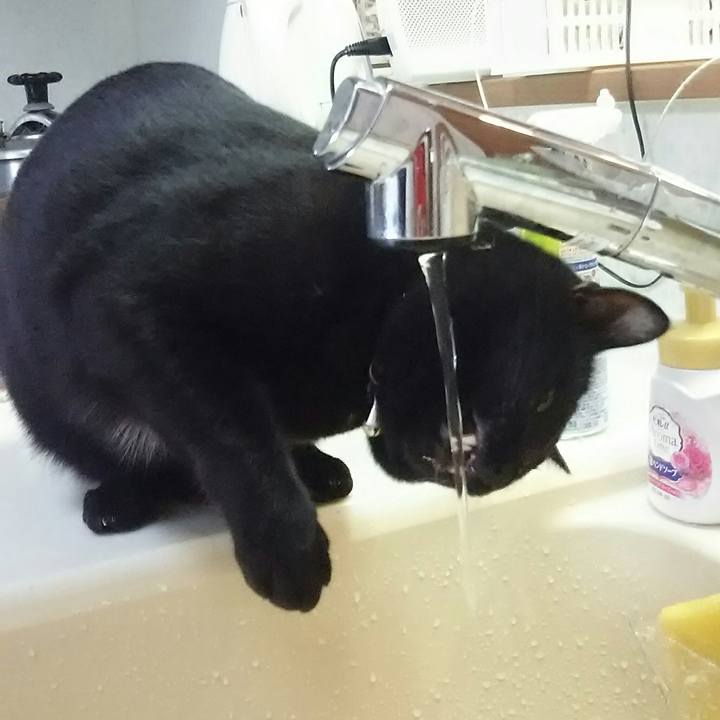 C9bb6b4b f7d9 4c78 a81c 67d66c112c40 1526781421226