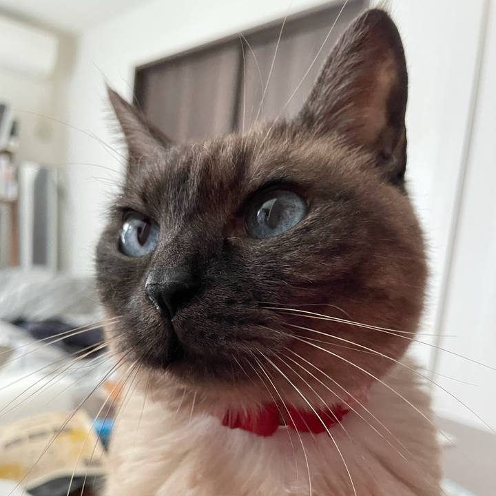 C9bb7e96 7cef 49b3 b68a 632e3cc70ff5 1775880038527