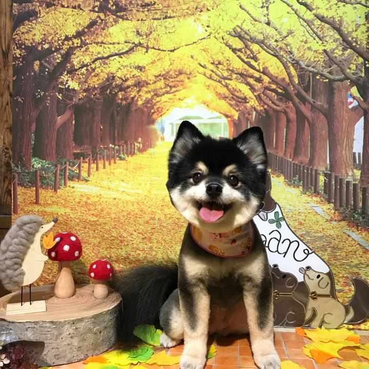 C9bb81a3 784b 4643 9049 f80d18b266ce 1542302327902