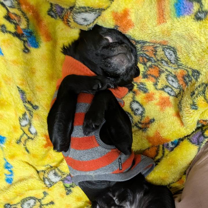 C9bba341 1094 4cce b7ec 9938a5231967 1769780552823