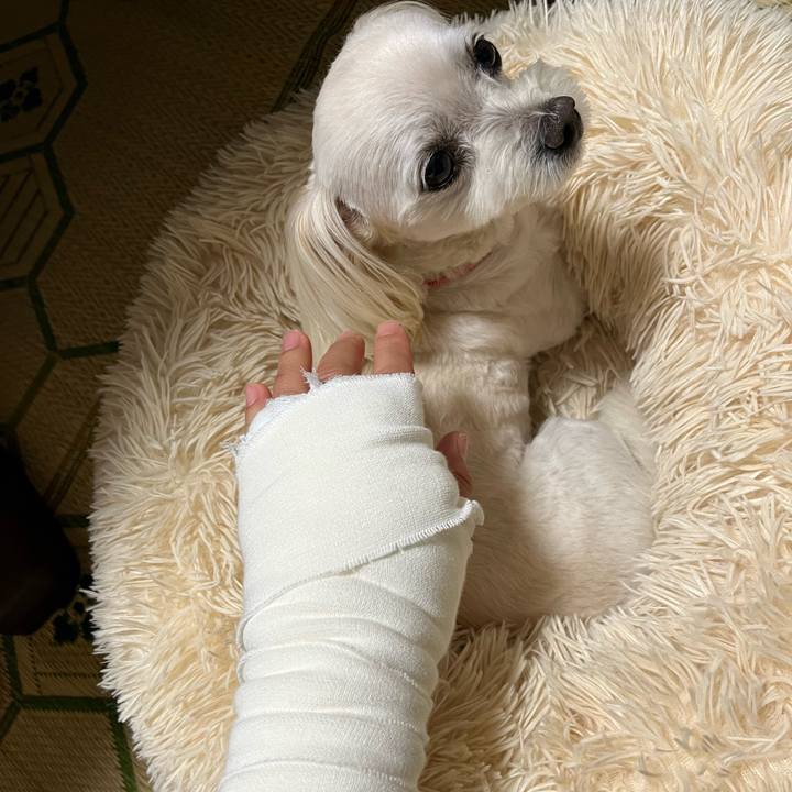 C9bbb41f 4c0e 45b8 b6d4 9d50c050fa6e 1687349694923