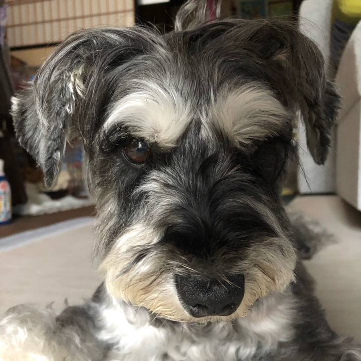 C9bbccfd 8358 4e05 adb1 6cab17ae5339 1657425499003