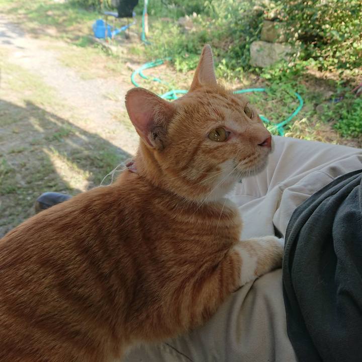 C9bc05ff 78ce 4ffb 9a08 3e66715f04f3 1567924929686