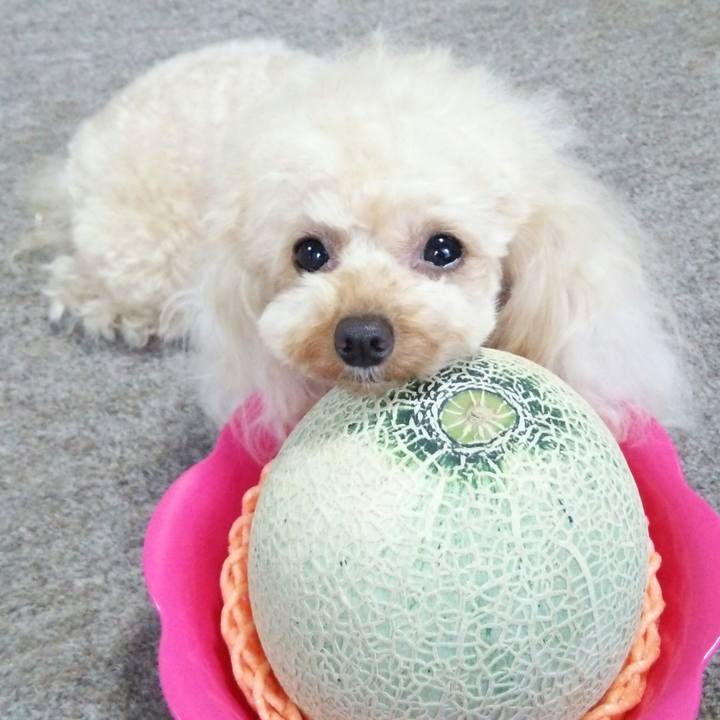 C9bc4609 54d6 48d6 97a5 86f4cd660c93 1531914363593