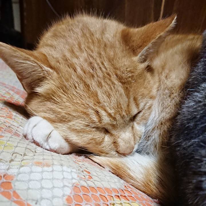 C9bc90ac bc13 4a56 94ca a5956a92705a 1577448831038