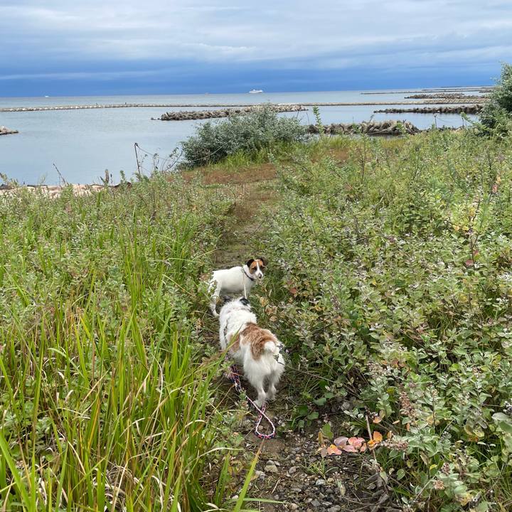 C9bc9aa8 73fc 4faf 906d bd714870ef00 1760225164691