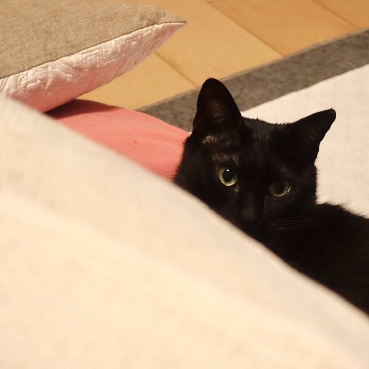 C9bcea72 3019 406e a113 963626c9baaf 1521296610666