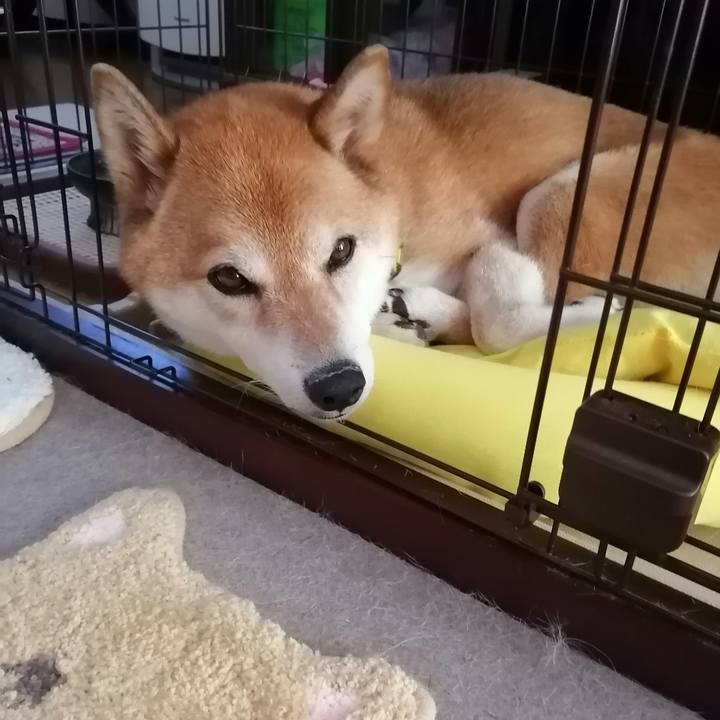 C9bd13fe 5cb9 4afe a37d 0a59decc0ff8 1689561611768