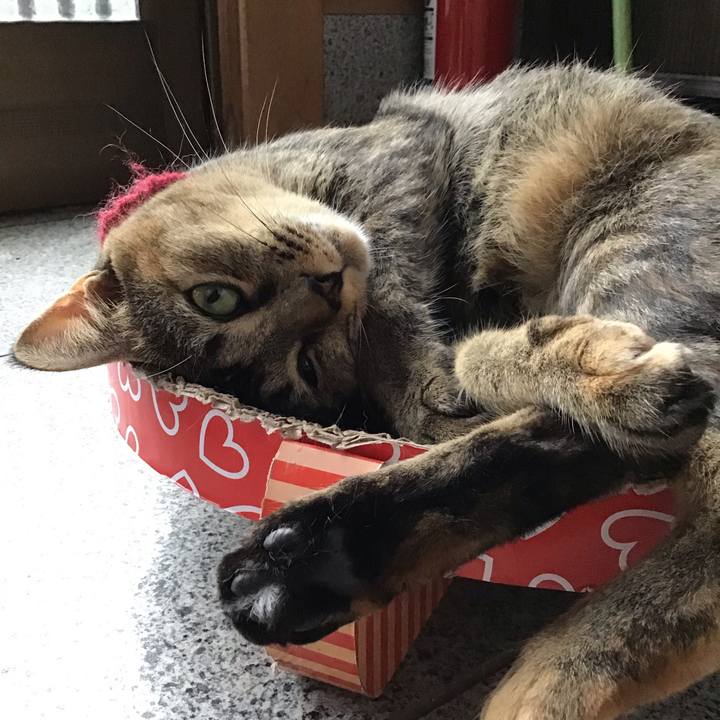 C9bd17d8 59c7 4a96 a662 a499be400731 1599120534859