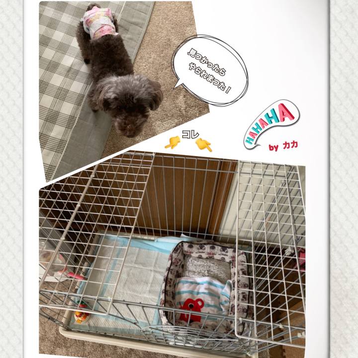 C9bd56fb b527 4278 89f3 4b7eecda5dc2 1569046431625