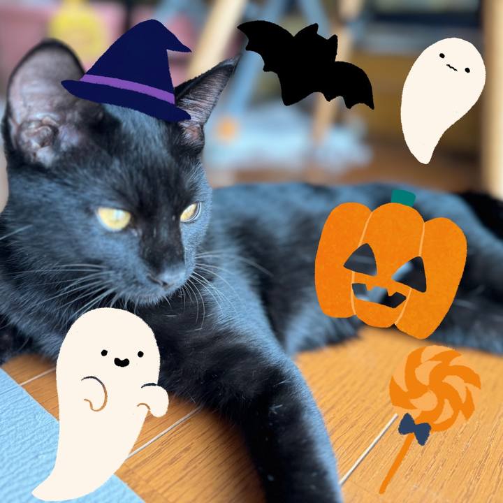 C9bd63bc 5e1d 4ef9 922a 380f4085d67e 1729073451598