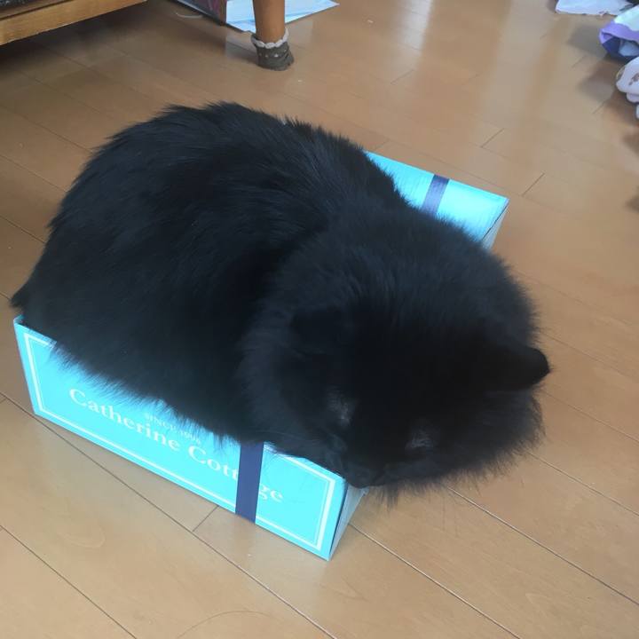 C9bd691d 4985 4db0 bfc0 4457d2488230 1550915342526