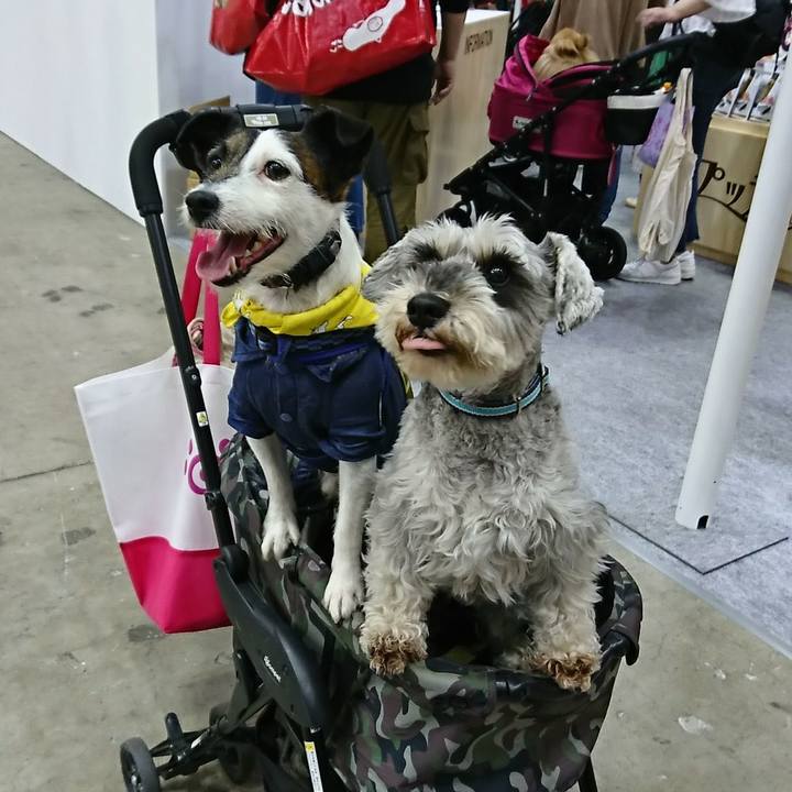 C9bd7aa9 e21a 4e6f 80d5 0087732e89c1 1522496168945