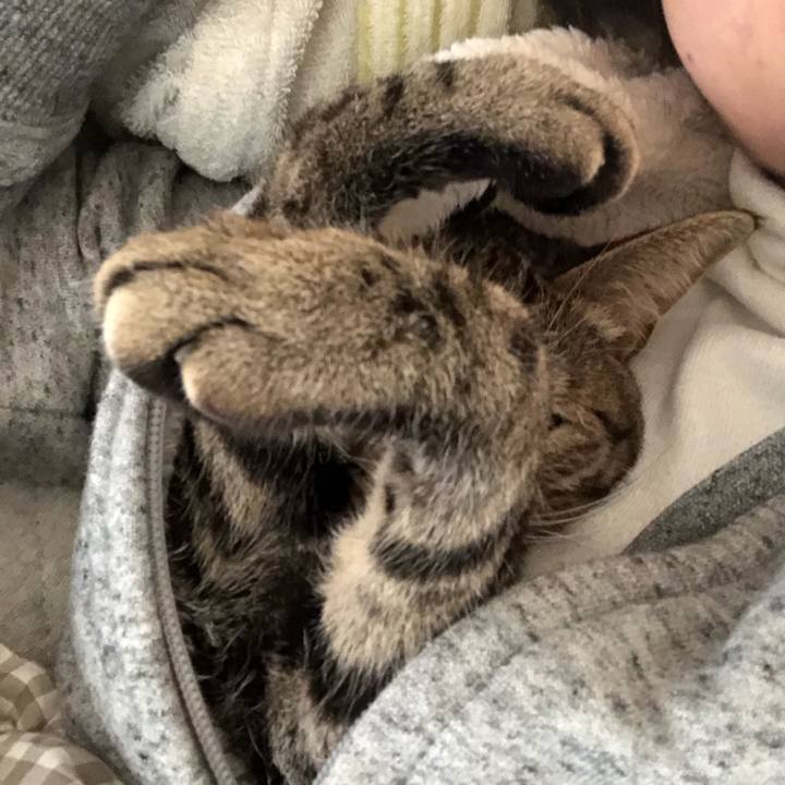 C9bd883d d32a 40a4 8bad 3e0d15e19de7 1558775454923