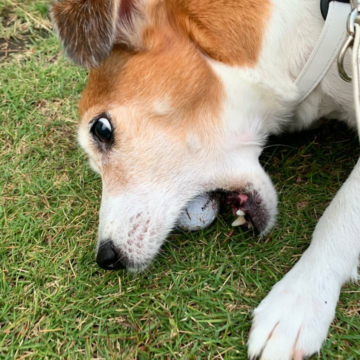 C9bd9f21 0ee1 492d 91b9 8dd54616e661 1571152439943