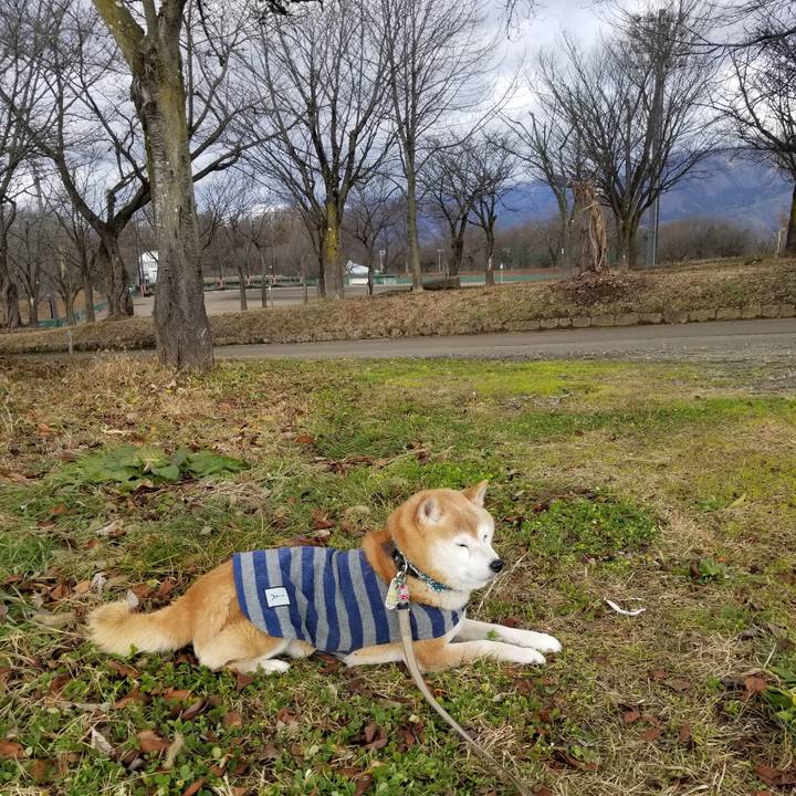 C9bda6a8 3df0 44a0 a83e 334bb1899ec6 1702446722136