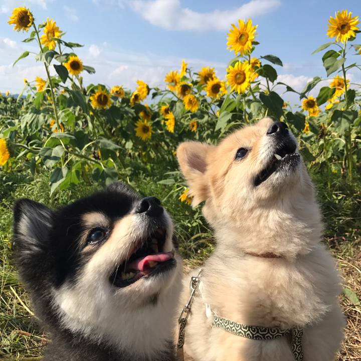 C9bde18e 656a 48a7 9e10 89508396d9bf 1573643865175