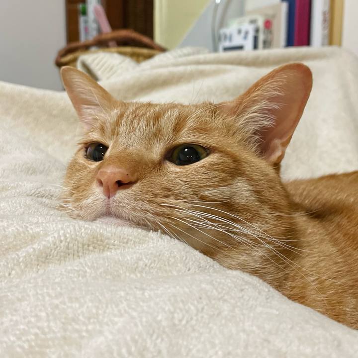 C9bde638 5613 4c4f 9bc5 d4076ca9c5b8 1709431518736