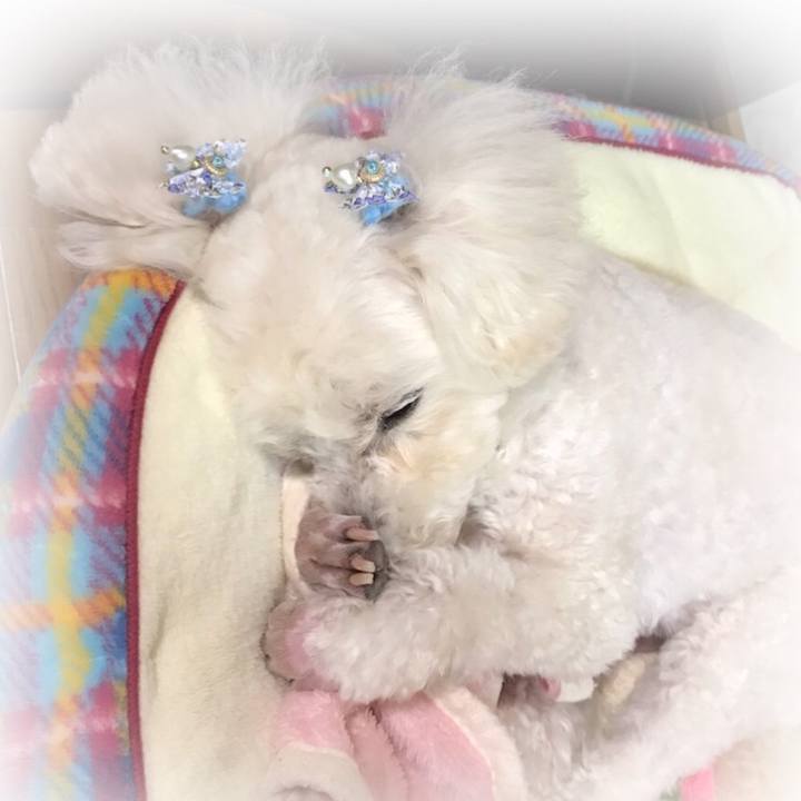 C9bdff5f 6ad0 4520 b36a 809f2419cec6 1519485832379