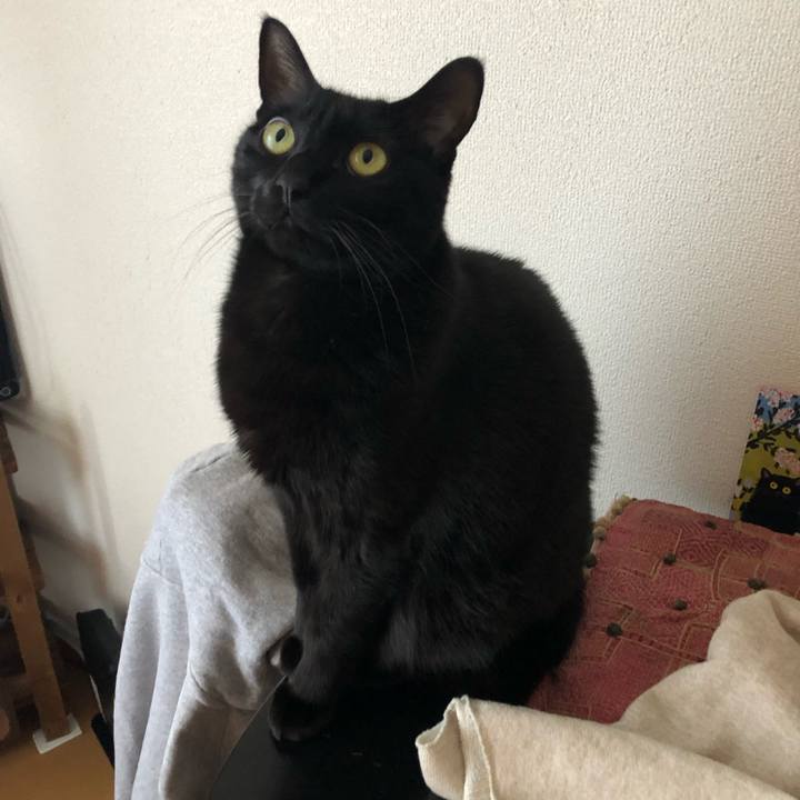 C9be5e74 35cc 4cce b372 4c8b4f093b5c 1554931243118