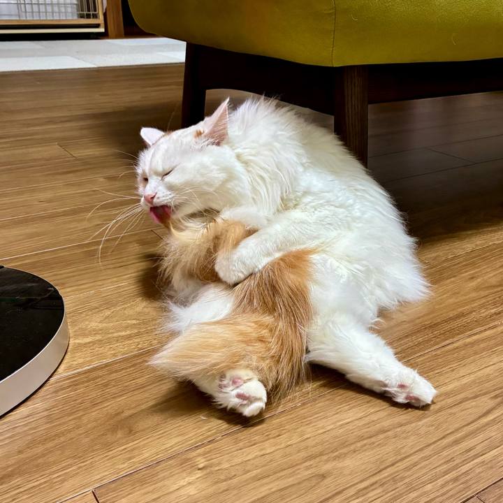 C9beb4e0 99d1 4ea3 830f 307497f56f3f 1769235271920