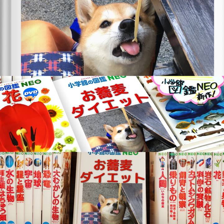 C9beeb61 5688 43dc b3ff 2c47673c1876 1578094473622